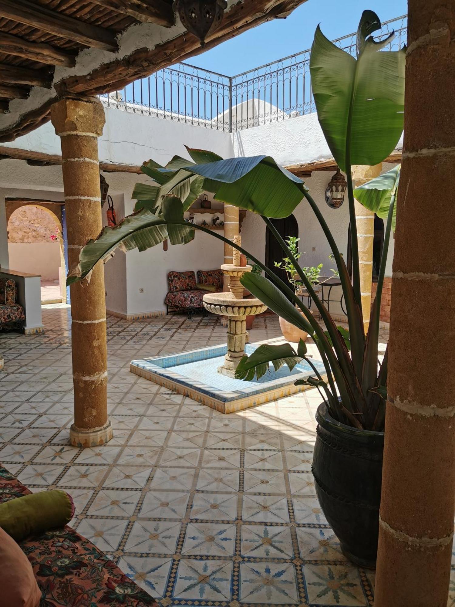 Riad Eucalyptus As-Suwajra Zewnętrze zdjęcie