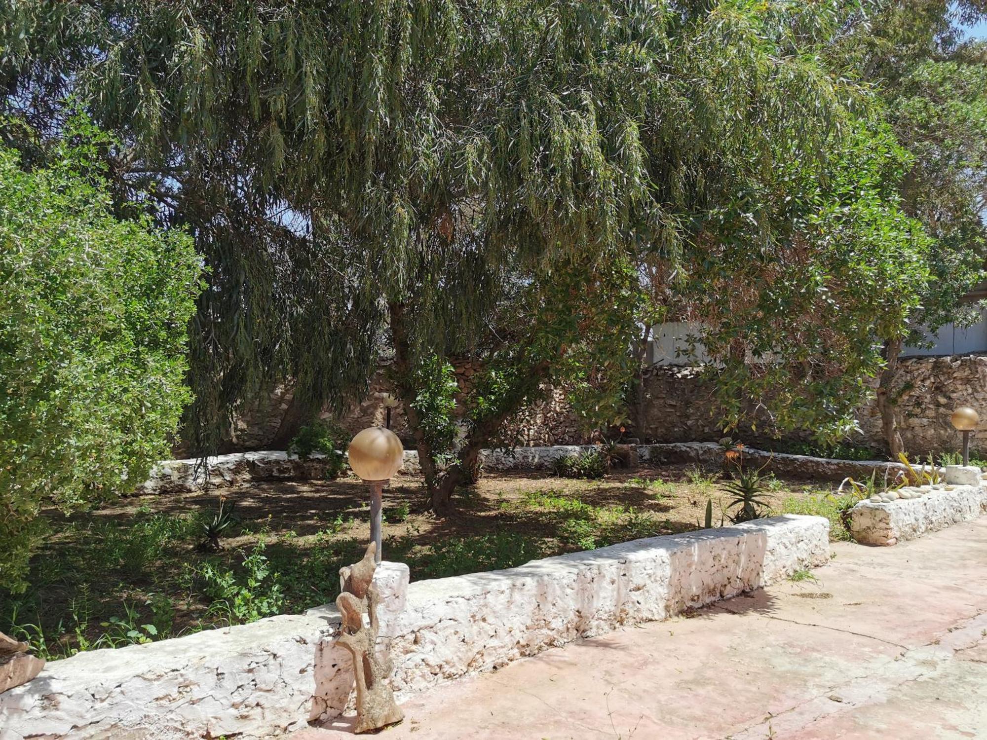 Riad Eucalyptus As-Suwajra Zewnętrze zdjęcie