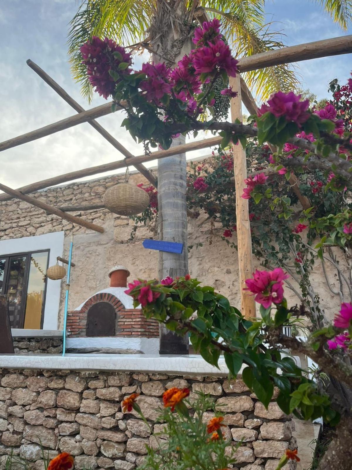 Riad Eucalyptus As-Suwajra Zewnętrze zdjęcie