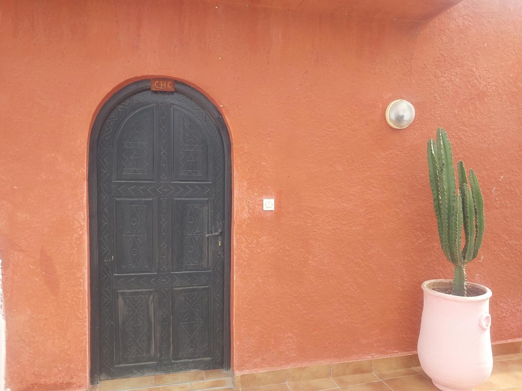 Riad Eucalyptus As-Suwajra Zewnętrze zdjęcie