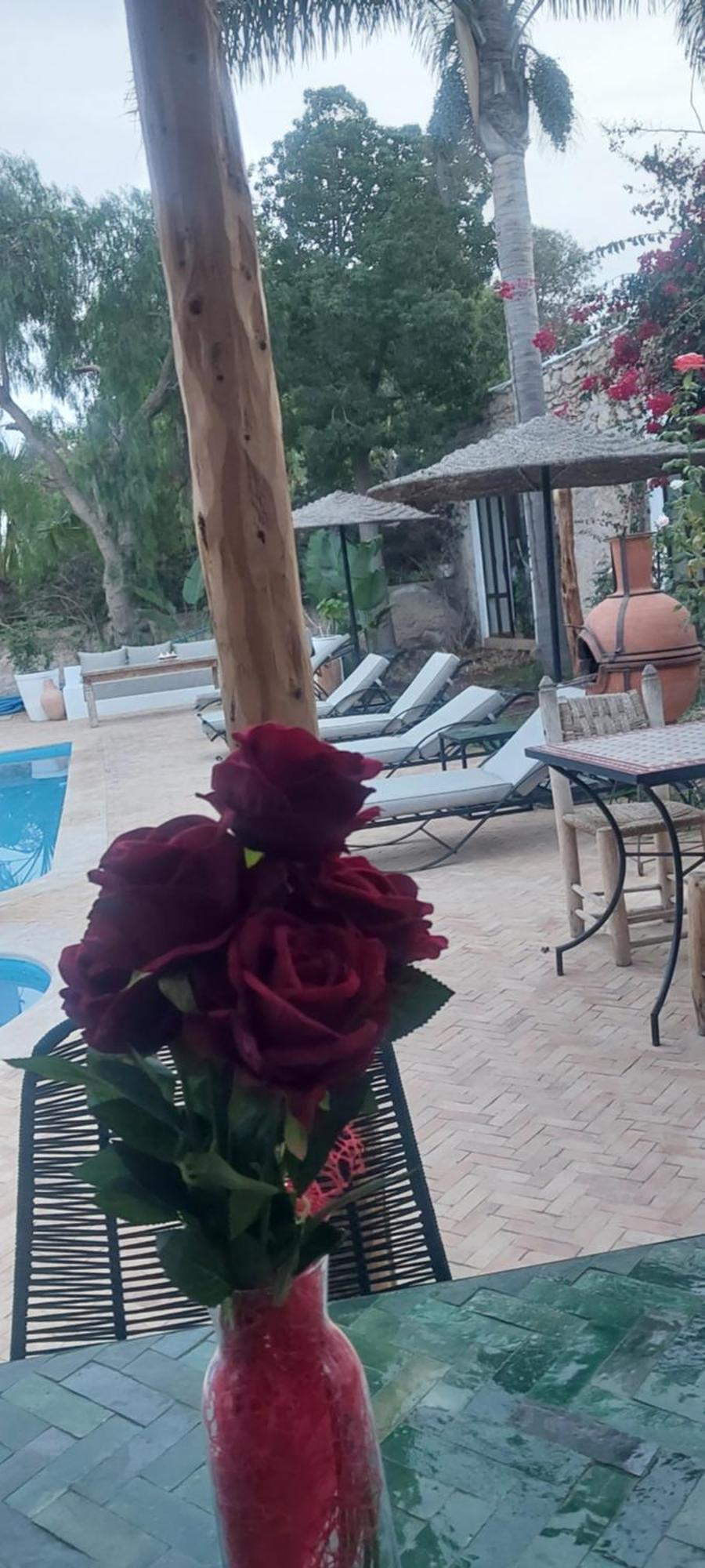 Riad Eucalyptus As-Suwajra Zewnętrze zdjęcie