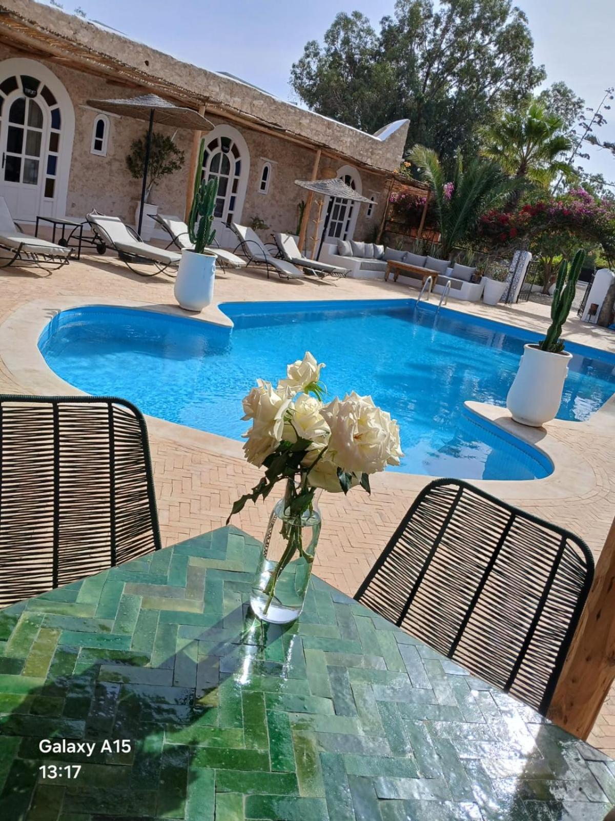 Riad Eucalyptus As-Suwajra Zewnętrze zdjęcie